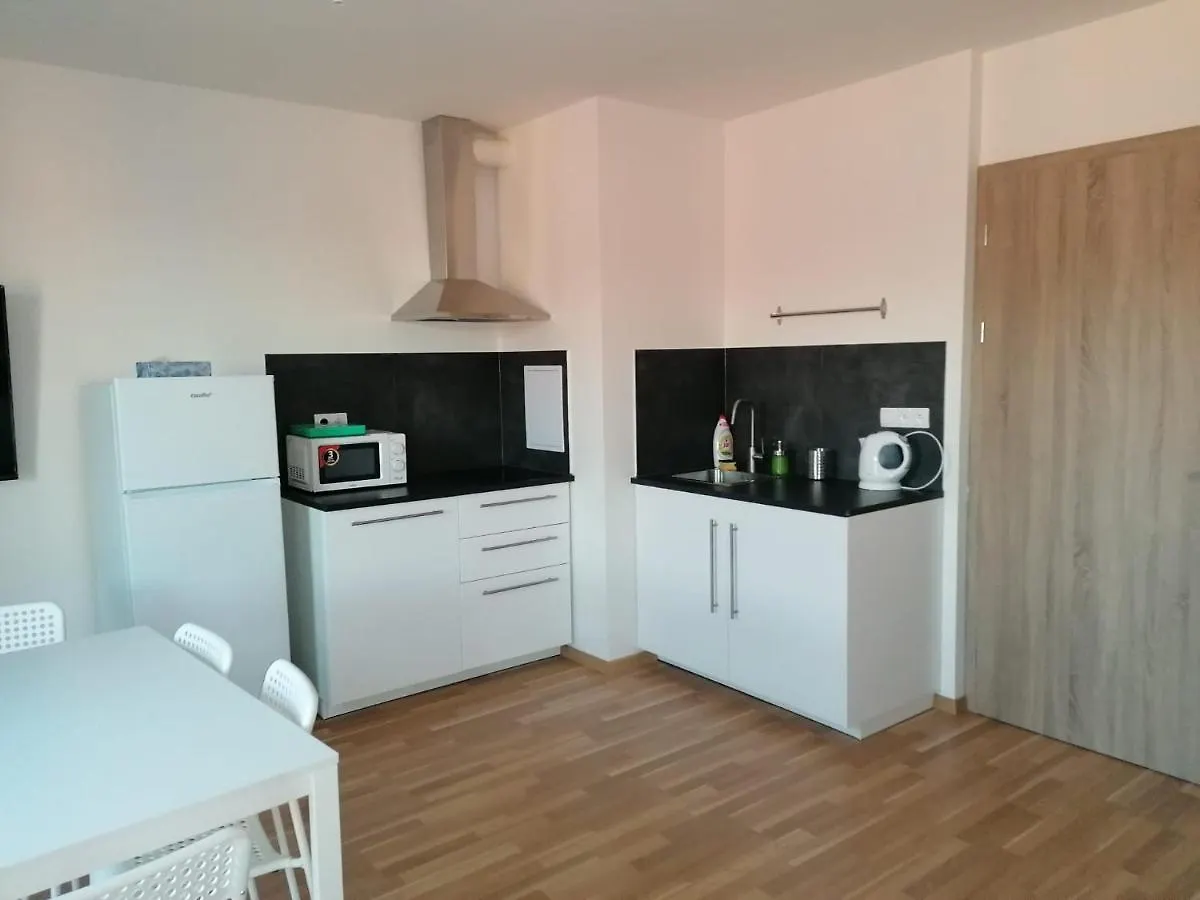 One Bedroom Penthouse Apartment # 82 In The Brand New Building Close To The City Center With Free Parking Praga